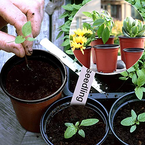 Vockvic 50 Piezas Macetas Plastico, Maceta Redonda de Seguro Pequeñas, Maceta de Semillas Multifuncional Portátil para Al Aire LibreJardín Plantas Plántulas 10 x 8cm