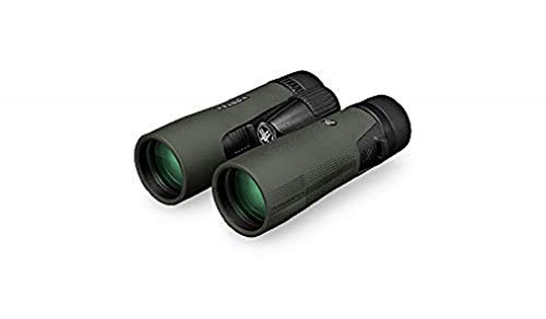 Vortex Optics Diamondback Prismáticos color verde, 10x42