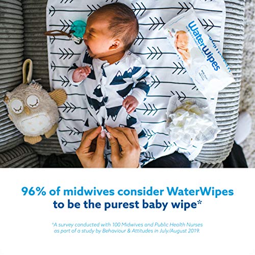 WaterWipes Toallitas para Pieles Sensible de Bebé, 99.9% agua purificada, 60 Unidad (Paquete de 4)