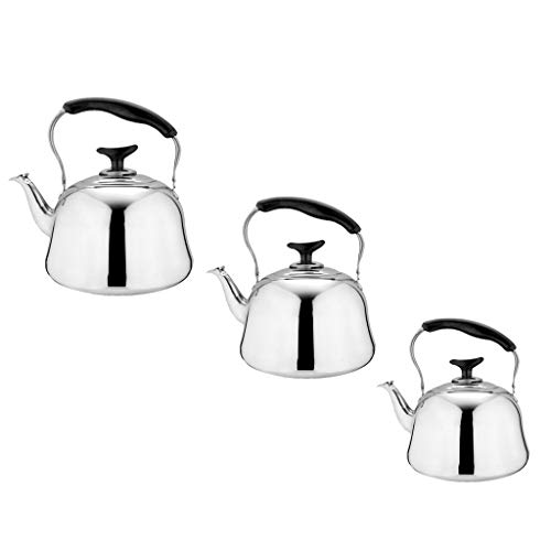 Whistling Tea Kettle Tetera De Acero Inoxidable Tetera De Inducción Estufa De Gas Eléctrica Para Calentar El Agua Rápidamente Tetera, Al Aire Libre, P - Plata 1L