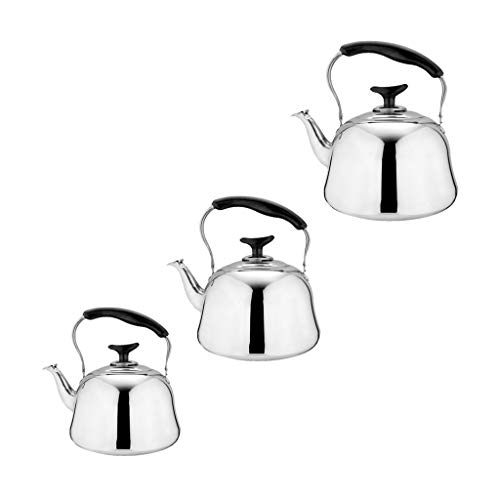 Whistling Tea Kettle Tetera De Acero Inoxidable Tetera De Inducción Estufa De Gas Eléctrica Para Calentar El Agua Rápidamente Tetera, Al Aire Libre, P - Plata 1L