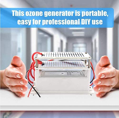 WYWML Generador de ozono portátil, 10 g/h de cerámica Máquina de ozono Doble Placa integrada Ozonizador Purificador de Aire de Agua para fábrica de Productos químicos