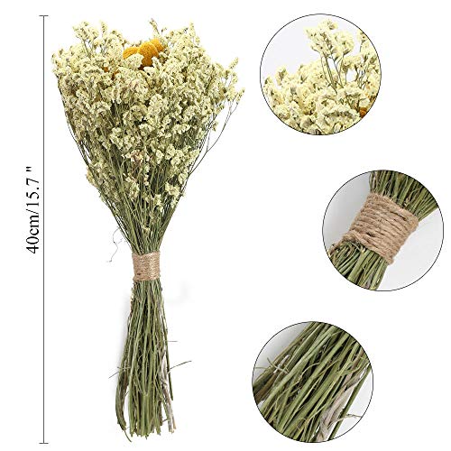 XHXSTORE Flores Secas Gypsophila Ramo Flores Naturales Craspedia para Decoración Ramo de Boda Florero de Boda Mesa Manualidades Fiesta Navidad Otoño Hogar Jarrones