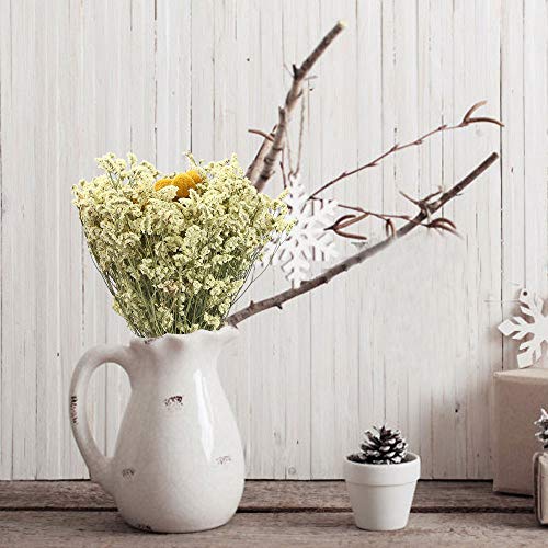 XHXSTORE Flores Secas Gypsophila Ramo Flores Naturales Craspedia para Decoración Ramo de Boda Florero de Boda Mesa Manualidades Fiesta Navidad Otoño Hogar Jarrones