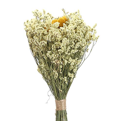 XHXSTORE Flores Secas Gypsophila Ramo Flores Naturales Craspedia para Decoración Ramo de Boda Florero de Boda Mesa Manualidades Fiesta Navidad Otoño Hogar Jarrones