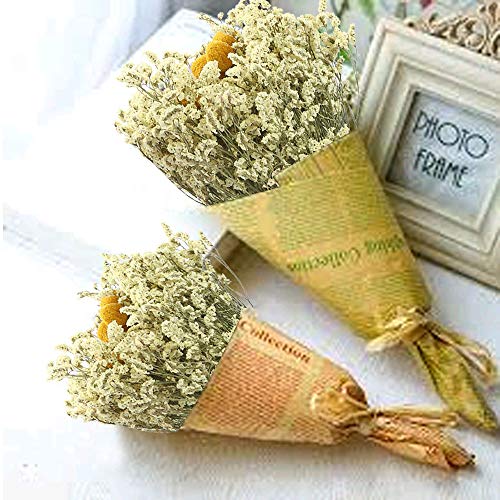 XHXSTORE Flores Secas Gypsophila Ramo Flores Naturales Craspedia para Decoración Ramo de Boda Florero de Boda Mesa Manualidades Fiesta Navidad Otoño Hogar Jarrones