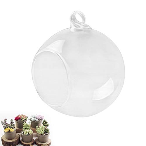 Yardwe 2 unids Jardineras de Cristal Colgantes de Pared Claro Macetas Colgando Cristal Terrario Florero de la Bola de Cristal para Las Plantas de Flor suculentas 80mm