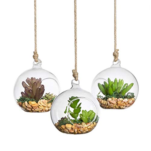 Yardwe 2 unids Jardineras de Cristal Colgantes de Pared Claro Macetas Colgando Cristal Terrario Florero de la Bola de Cristal para Las Plantas de Flor suculentas 80mm