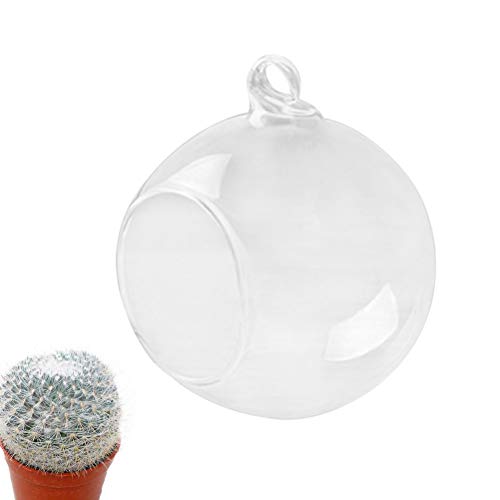 Yardwe 2 unids Jardineras de Cristal Colgantes de Pared Claro Macetas Colgando Cristal Terrario Florero de la Bola de Cristal para Las Plantas de Flor suculentas 80mm