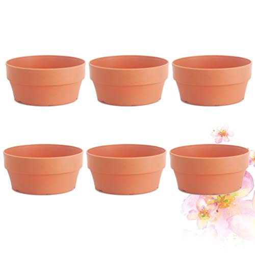 YARNOW 6 Piezas Macetas de Barro de Terracota Mini Macetas Macetas Macetas Suculentas Macetas de Vivero de Cactus para Exhibir Plantas de Interior Al Aire Libre (Naranja 12 5 Cm Calibre)