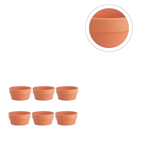 YARNOW 6 Piezas Macetas de Barro de Terracota Mini Macetas Macetas Macetas Suculentas Macetas de Vivero de Cactus para Exhibir Plantas de Interior Al Aire Libre (Naranja 12 5 Cm Calibre)