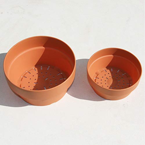 YARNOW 6 Piezas Macetas de Barro de Terracota Mini Macetas Macetas Macetas Suculentas Macetas de Vivero de Cactus para Exhibir Plantas de Interior Al Aire Libre (Naranja 12 5 Cm Calibre)