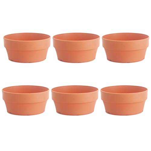 YARNOW 6 Piezas Macetas de Barro de Terracota Mini Macetas Macetas Macetas Suculentas Macetas de Vivero de Cactus para Exhibir Plantas de Interior Al Aire Libre (Naranja 12 5 Cm Calibre)