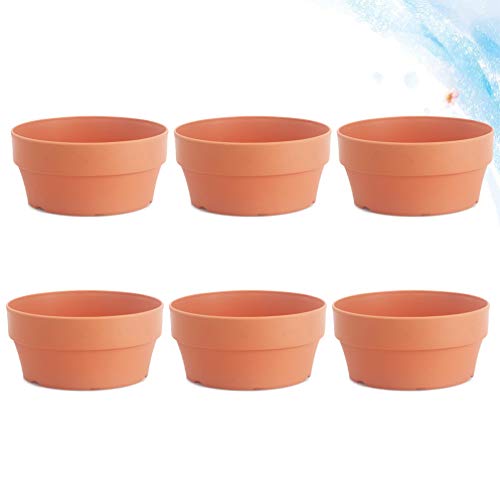 YARNOW 6 Piezas Macetas de Barro de Terracota Mini Macetas Macetas Macetas Suculentas Macetas de Vivero de Cactus para Exhibir Plantas de Interior Al Aire Libre (Naranja 12 5 Cm Calibre)