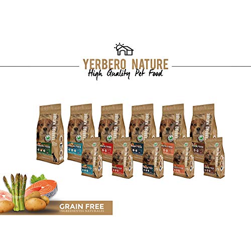 YERBERO Nature Grain Free Comida SIN Cereales salmón/Trucha para Perros 2,5kg