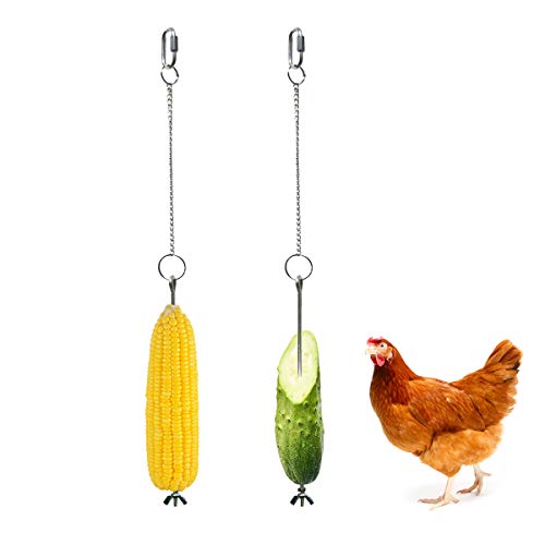 Yinuoday 2 Piezas de Juguetes para Gallinas Juguetes para Picotear Gallinas Accesorios de Gallinero de Acero Inoxidable con Cadena Colgante Y Gancho para Colgar Verduras Alimentador de