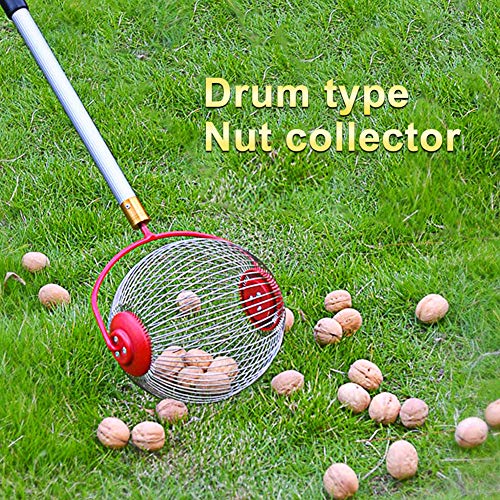 Yiran - Colector de rodillos multifunción, sin esfuerzo para recoger frutas, nueces, cerezas y manzanas, ideal también como agarre para pelotas de golf, tenis pelotas, No cero., sin mango, large