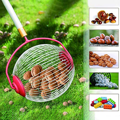 Yiran - Colector de rodillos multifunción, sin esfuerzo para recoger frutas, nueces, cerezas y manzanas, ideal también como agarre para pelotas de golf, tenis pelotas, No cero., sin mango, large