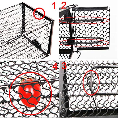 YOMERA Trampa para Ratas, Trampa para Ratas y Ratones 28 * 14 * 14 Cm Jaula para Animales Trampas para Ratones Trampas para Jaulas para Ratones con Animales Vivos y Humanos de Alta Sensibilidad