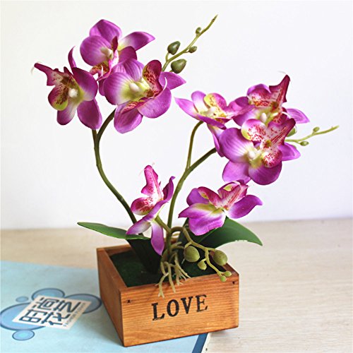 Yunt Phalaenopsis Mariposas Orquídeas Bonsai con Maceta de Madera Suministros de Bricolaje Decoración para el Hogar Flores de Seda Artificial Ramo de Flores de Seda Plantas Plásticas Púrpura