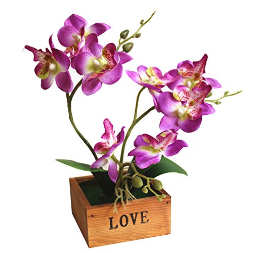 Yunt Phalaenopsis Mariposas Orquídeas Bonsai con Maceta de Madera Suministros de Bricolaje Decoración para el Hogar Flores de Seda Artificial Ramo de Flores de Seda Plantas Plásticas Púrpura