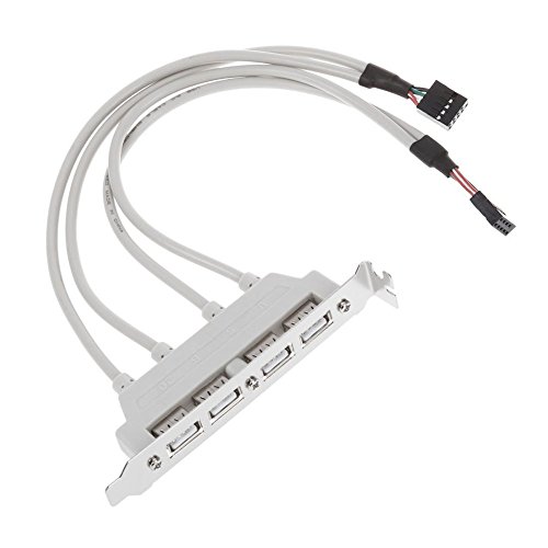 zreal Soporte PCI USB a 4 puertos en panel trasero a doble conector para tarjeta madre de 9 pines