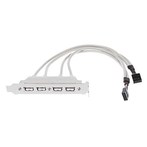 zreal Soporte PCI USB a 4 puertos en panel trasero a doble conector para tarjeta madre de 9 pines