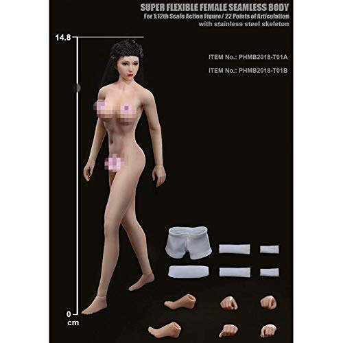 ZSMD TBleague - Figura de acción Femenina Nahtlose, Cuerpo de Silicona + Cabeza + Ropa Interior 1/12, muñecas Femeninas superflexibles Für Kunst/Zeichnung/Fotografie (TBleague T01A (Blass))