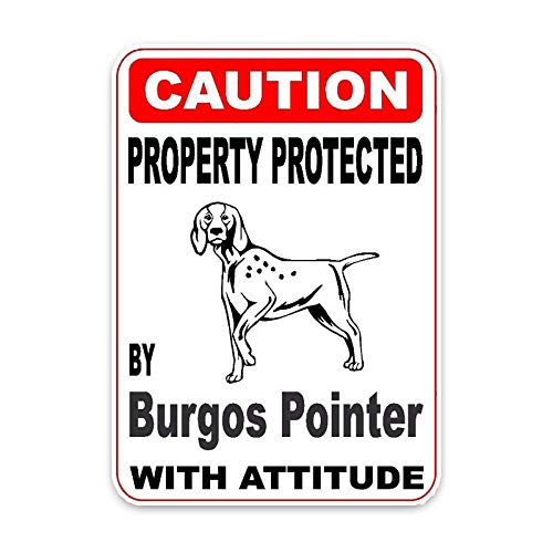 ZXCVBNK Pegatinas Coche Propiedad protegida por Burgos Pointer Dog Car Decoration Bumper Window Sticker 2PCS 15 * 11.4CM