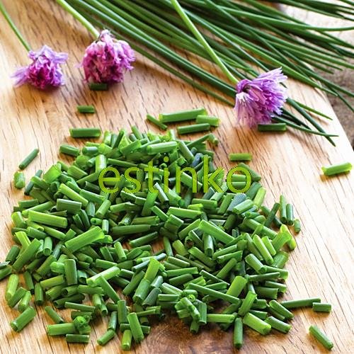 100pcs / lot de las cebolletas chinas de Semillas Semillas Allium Schoenoprasum Condimento vegetal Oriental ensalada de cebolla semillas de hortalizas Bonsai bricolaje