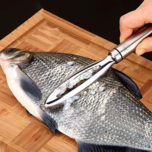 1pcs Inoxidable Acero Fish Scales Raspador Escalador Del Limpiador Del Removedor Marisco Herramientas Herramienta De Coco Fruta De La Cocina Ralladores Máquina De Afeitar