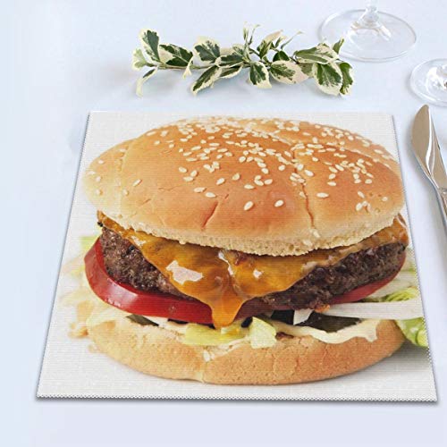 20150702-Sous-Vide-Hamburguesa-Anova-Primario Manteles individuales resistentes al calor Antimanchas Lavables Pvc Mantel individual de vinilo tejido, juego de 4 (45 x 30 cm)