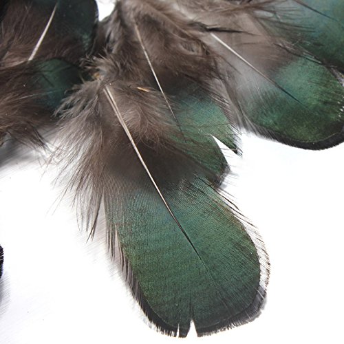 50pcs Plumas de la Cola Artesanías Ropa DIY - Verde