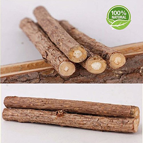 Aitsite Catnip, 10 Palitos De Hierba Gatera De Matatabi para Gatos Natural Cuidado Dental Chew Catnip Sticks para Dientes Diámetro de Limpieza 10-15mm