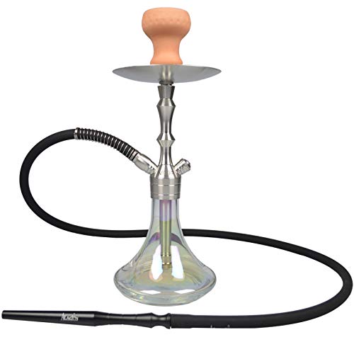 Aladin MVP360 Wasserpfeife Shisha 36cm Edelstahl Kristallglas Silikon Schlauch Tonkopf Mundstück, WMVP360s, Farbe Shiny Klar