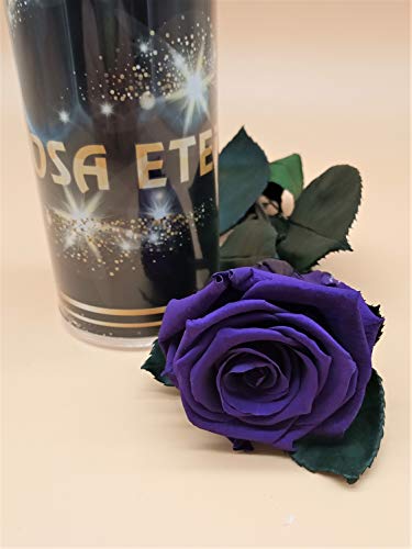 Almaflor Rosa eterna Morada Extra. Gratis TU ENVÍO Prime. Rosa preservada Morada Extra. Tarjeta dedicatoria y Envoltorio de Regalo. Hecho en España.