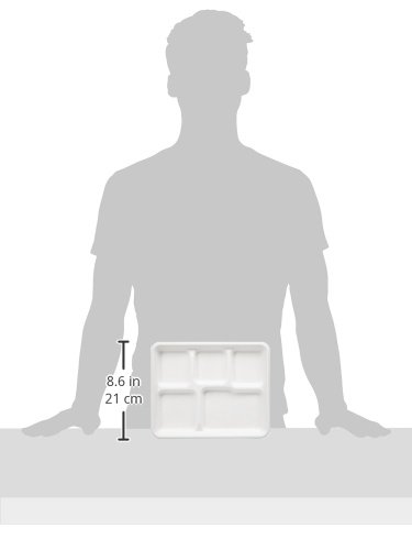 AmazonBasics - Bandejas de comida desechables, convertibles en abono ecológico y biodegradables, 5 compartimentos, 125 unidades