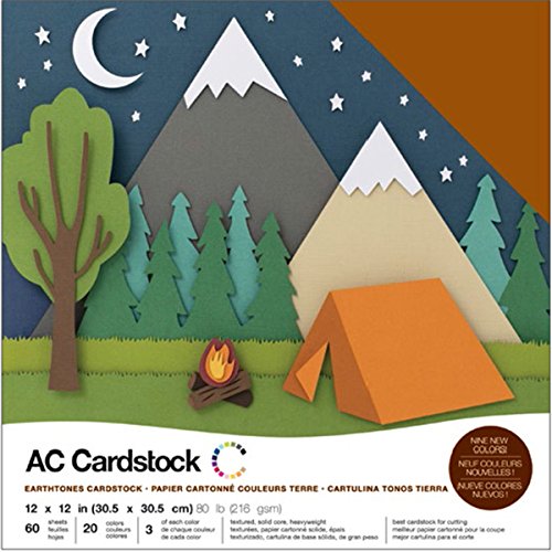 American Crafts Cartulina Variedad, no aplicable, Multicolor, 30.73 x 30.48 x 2.0299999999999998 cm