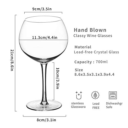 Amisglass Copa de Gin & Tonic, Copas de Cóctel de Cristal, Juego Copas de Ginebra de 2 Piezas, Copas de Zumo Vidrio sin Plomo en Fiesta Casa, Bar, Apta para Lavavajillas - 700 ml