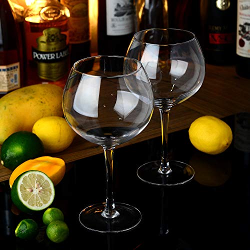 Amisglass Copa de Gin & Tonic, Copas de Cóctel de Cristal, Juego Copas de Ginebra de 2 Piezas, Copas de Zumo Vidrio sin Plomo en Fiesta Casa, Bar, Apta para Lavavajillas - 700 ml