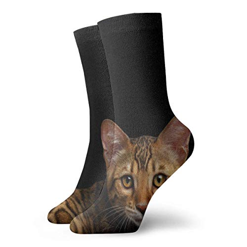 AOOEDM Wild Den Bengal Cushion Crew Calcetines Essential Sport Wicking Work para hombres y mujeres