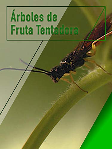 Árboles de Fruta Tentadora