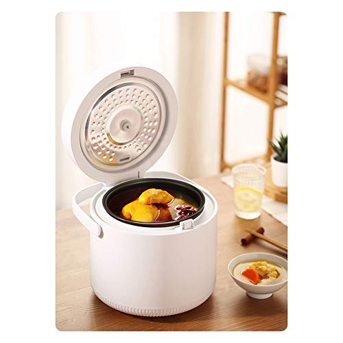 AURALLL Mini Cocina de arroz esterilizador, Olla de cocción Lenta, Cocina de arroz, Grano Cafetera, Vapor, Saltee, Fabricante de Yogur con una Sola pulsación Operación - 2L