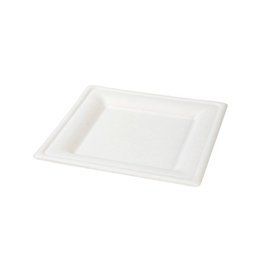 BIOZOYG Vajilla ecológica de bagazo desechable | 50 Piezas Platos de caña de azúcar Blanca Angular blanqueada 20x20 cm | Vajilla Desechable Bio Plato de Comer Plato de Fiesta