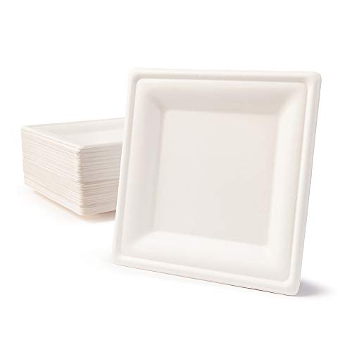 BIOZOYG Vajilla ecológica de bagazo desechable | 50 Piezas Platos de caña de azúcar Blanca Angular blanqueada 20x20 cm | Vajilla Desechable Bio Plato de Comer Plato de Fiesta