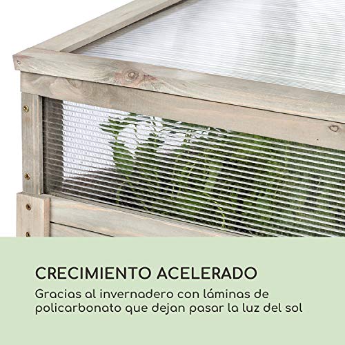 blumfeldt Altiplano Terrado - Macetero Elevado, 120 x 121 x 54 cm, Altura 90cm, Superficie de Cultivo para terraza o jardín, Fieltro Protector, Madera de Pino