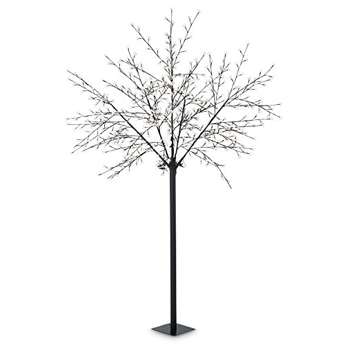 Blumfeldt Hanami WW 250 - decoración navideña, árbol de luces, iluminación exterior, 600 LED, blanco cálido, bajo consumo de energía, 2,5 m, ramas flexibles, cable de 10 m, negro