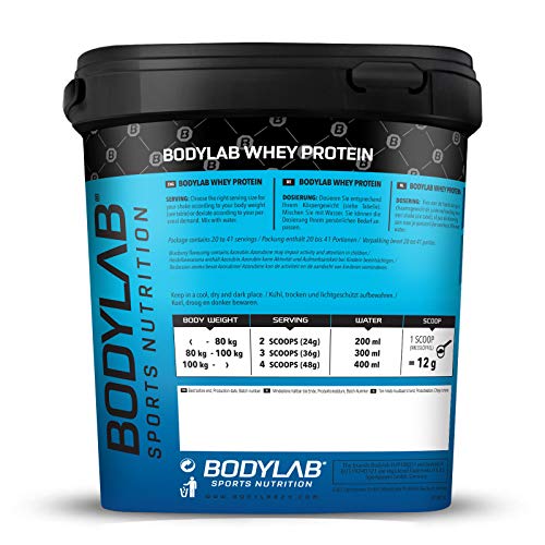 Bodylab24 Proteína Whey 1kg | Proteína de suero en polvo para antes y después del entrenamiento | Para batido de proteínas para masa muscular | 80% Proteína | Sin Gluten | Nata y Galletas