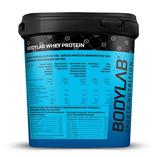 Bodylab24 Proteína Whey 1kg | Proteína de suero en polvo para antes y después del entrenamiento | Para batido de proteínas para masa muscular | 80% Proteína | Sin Gluten | Nata y Galletas