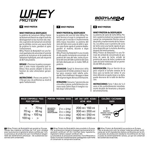 Bodylab24 Proteína Whey 2kg | Proteína de suero en polvo para antes y después del entrenamiento | Para batido de proteínas para masa muscular | 80% Proteína | Sin Gluten | Nata y Galletas